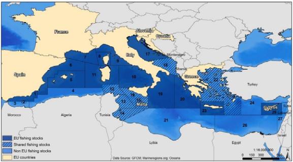 Overfishing in the The Mediterranean Sea